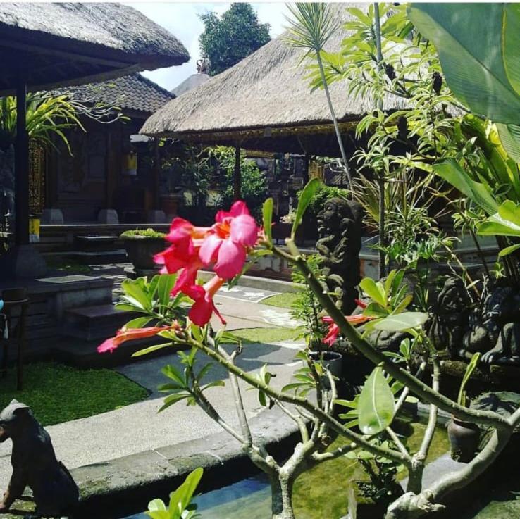Family Guest House อูบุด ภายนอก รูปภาพ